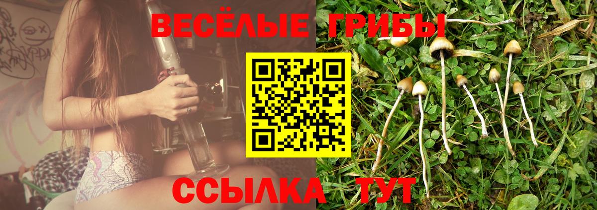 Псилоцибиновые грибы GOLDEN TEACHER Краснокаменск